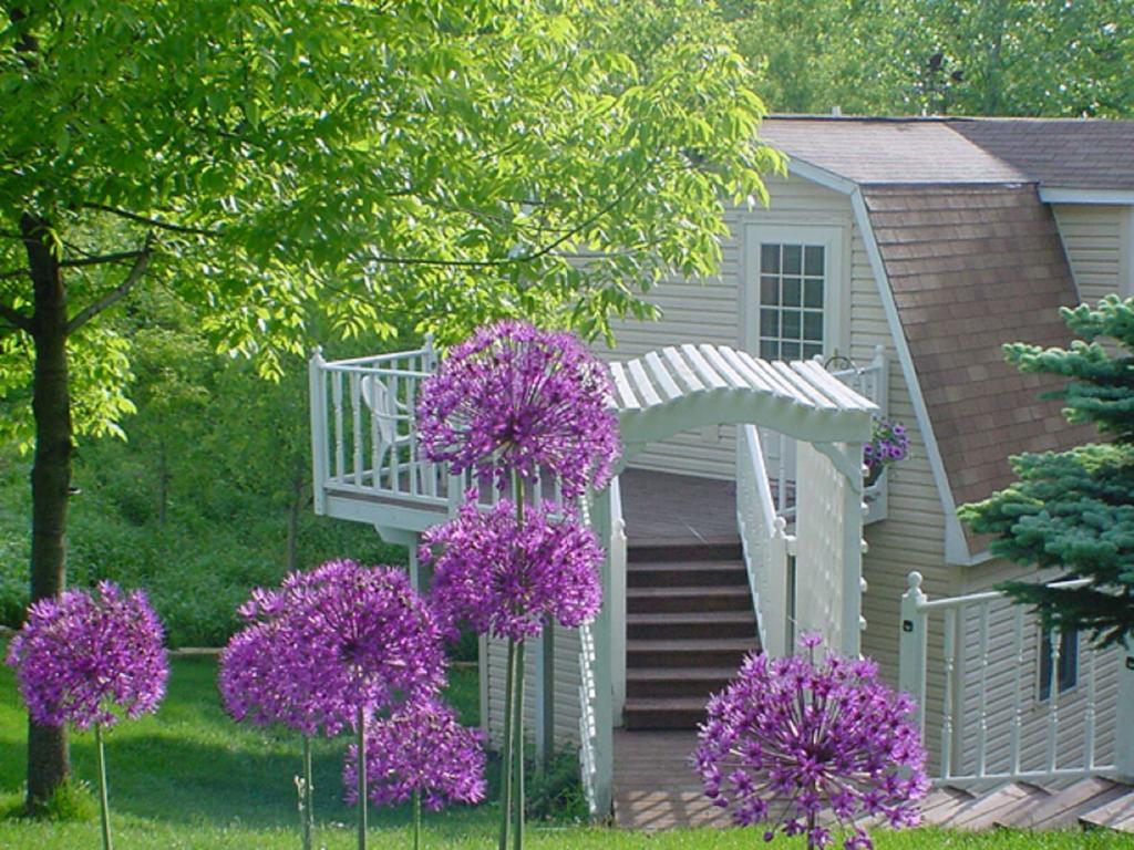 Trickling Waters Retreat Villa Marquette ภายนอก รูปภาพ